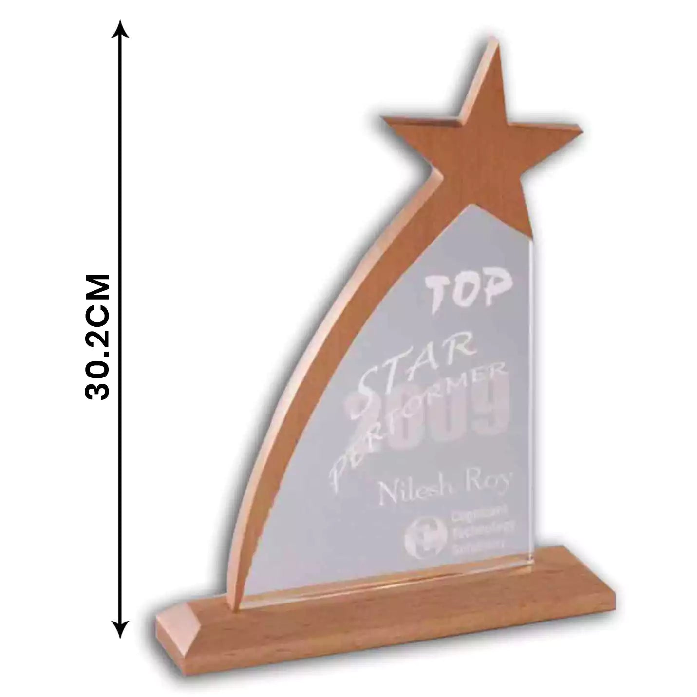 Elite Acrylic & Wood Fusion Star Trophies